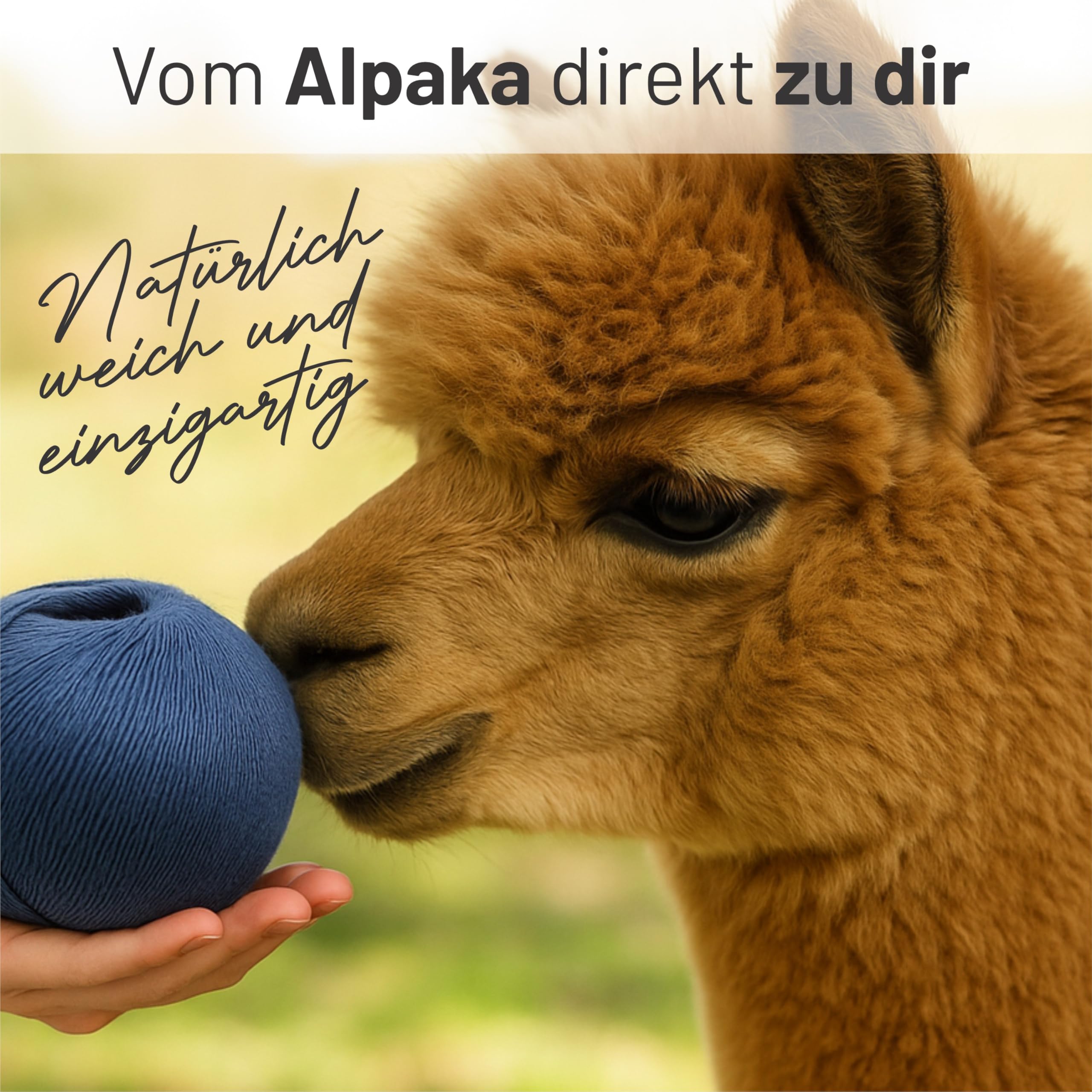 HANSA-FARM | Alpawool CF259 Petrol Blue 70% Baby Alpaca with 30